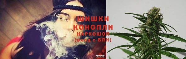 тгк Киреевск